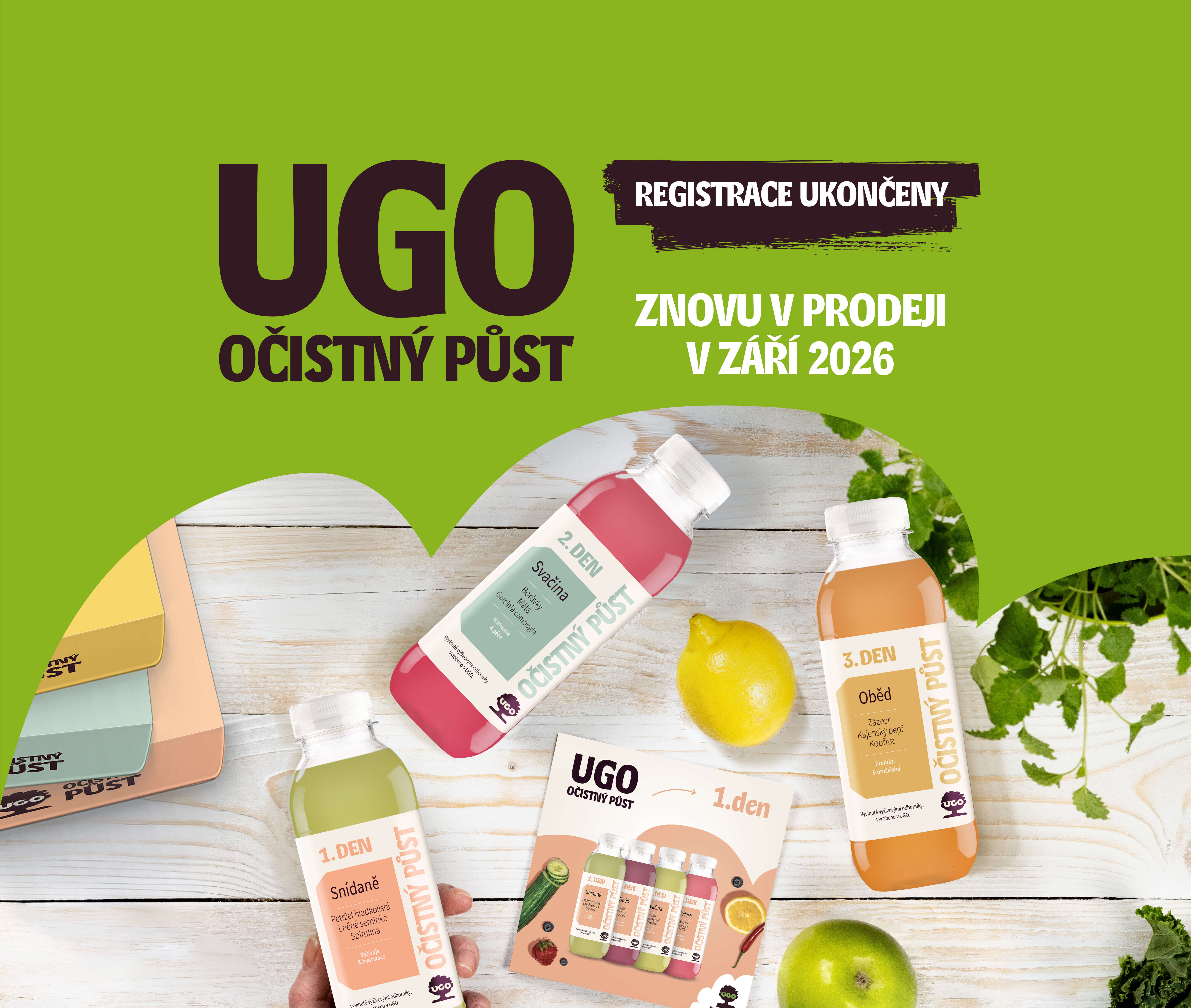 showcase--tablet--portrait